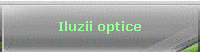 Iluzii optice
