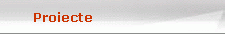 Proiecte