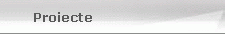 Proiecte