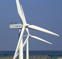 eoliene