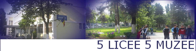 5 LICEE 5 MUZEE