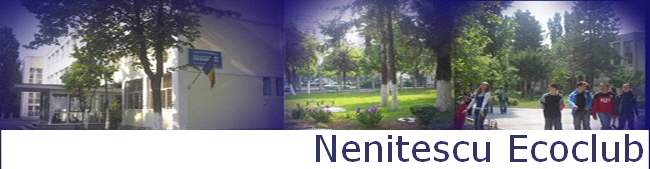 Nenitescu Ecoclub