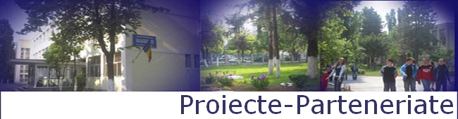 Proiecte-Parteneriate