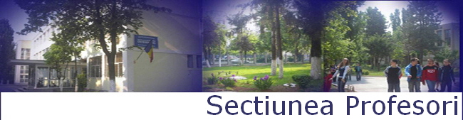 Sectiunea Profesori
