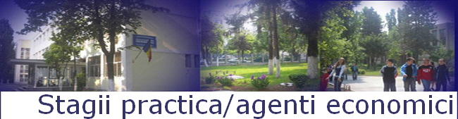 Stagii practica/agenti economici